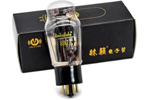 AMPTATA Matched Pair LINLAI 6SN7 Vacuum Tube Amplifier Valve Factory HIFI-series