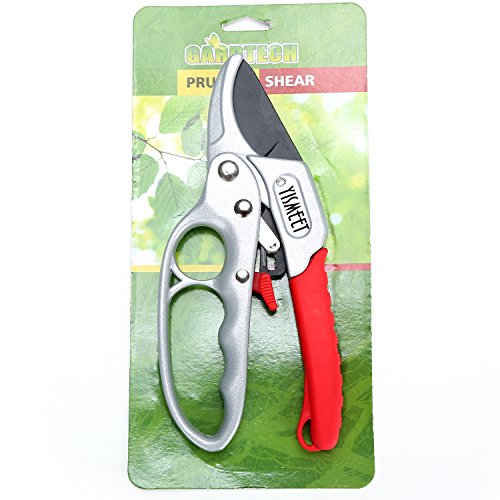Sharp 8-inch Garden Ratchet Pruning Shears - Hand Pruners - Best Small Secateurs - High Carbon Steel Ultra Sharp Blade Bypass Effortless Cut - Professional Gardening Tools Ratcheting Pruner