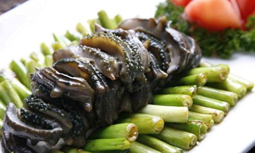 Dried seafood sea cucumber 750 gram from South China Sea Nanhai