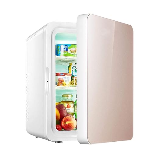 JLWF Mini Nevera Eléctrica Caja Fría 12V 240V para El Coche Y El ...