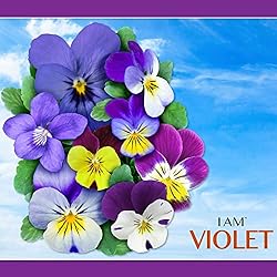 Madd Capp: I Am Violet - 350 Piece Jigsaw Puzzle