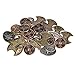 Fantasy Coins - Barbarian (30) - Novelty Coins