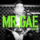 GARY LEESSANG - MR.GAE
