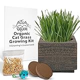 Organic Cat Grass Seeds Kit - Organic Seed & Soil