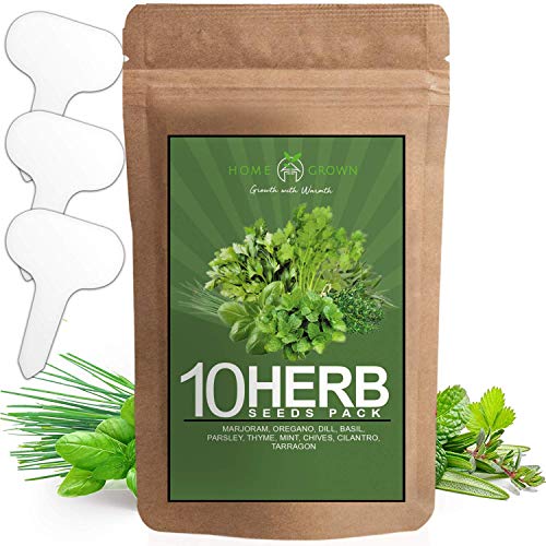 10 Culinary Herb Seed Vault - Heirloom and Non GMO - 3000+ Seeds for Planting for Outdoor or Indoor Herb Garden, Basil, Cilantro, Parsley, Chives, Thyme, Oregano, Dill, Marjoram, Mint, Tarragon