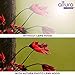58MM Altura Photo Collapsible Rubber Lens Hood for Camera Lens with 58MM Filter Thread
