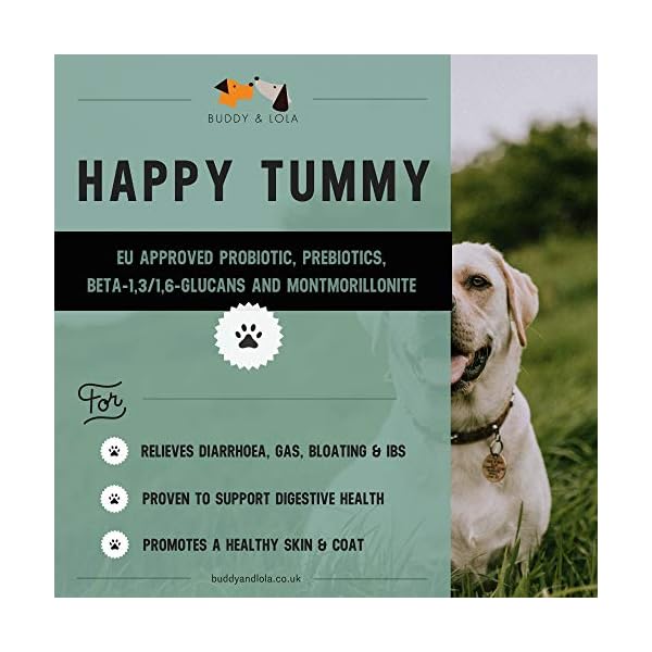 buddy and lola happy tummy