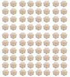 Disposable Breast Pasties Adhesive Bra Petal Nipple Cover Multi Pack (40 Pairs-Flower, One Size)