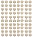 Disposable Breast Pasties Adhesive Bra Petal Nipple Cover Multi Pack (40 Pairs-Flower, One Size)
