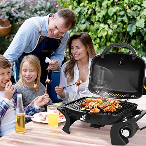 How To Control Heat On Propane Grill at Lawrence Chu blog