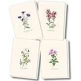 Earth Sky + Water - Meadow Wildflower Assortment Notecard Set - 8 Blank Cards with Envelopes (2 each of 4 styles)