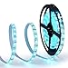 LED Lights Strip,Oak Leaf SMD5050 Waterproof 16.4ft RGB Led Strip Lighting with 44 Key IR Remote Control For For Gardens/ Homes/ Kitchen/ Cars/ Bar