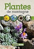 Plantes de montagne by 