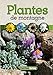Plantes de montagne by 