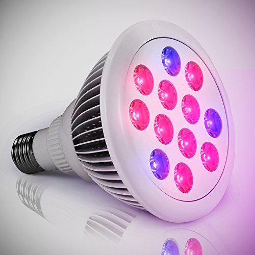 Planet Homeware LED Grow Bulb – Minimal Heat Rapid Growth High Efficiency Indoor Red & Blue LED Garden Grow Bulb