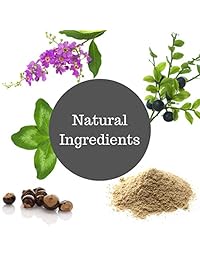 Accelerator – -natural Energía Comida Shake de repuesto con Antioxidantes