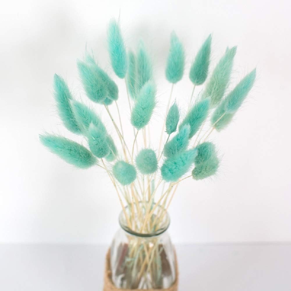 VIVIQUEN 100 Pcs Dried Natural Flowers Setaria Viridis Decorative Dog Tail Grass Bouquet, Dry Fox Tail Rabbit Grass, Preserved Plants Table Decoration Accessories Party Beach Theme Decorations (Blue)