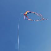 EEZ RV Products 23FT Telescoping Wind Sock Pole, Adjustable and Easy to Assemble, Great for RV Ladder Mount Windsocks, Spinners, and Kites.(Pole Only)