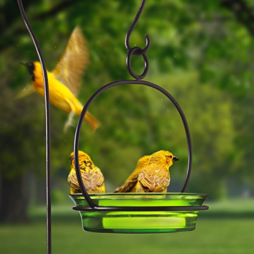 Romantic Decor and More Hanging Glass Birdbath, Wild Bird Bath