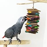 Graham's Parrot Toy Creation Fiesta Bird Toy