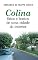 Livro Colina: Fatos e boatos de uma cidade do interior (COLEÇÃO VIAGENS NA FICÇÃO Livro 1)