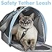 Airline Approved Pet Carrier for Cats, Small Dogs - Soft Cat Carriers Dog Travel Bag for Small Medium Large Cat
