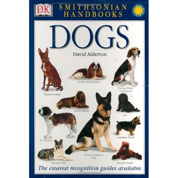 趣味・スポーツ・実用 The new Encyclopedia of the DOG 趣味・スポーツ・実用 The new Encyclopedia of the DOG 趣味