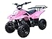 ATA-110B1 TaoTao Kids Gas 110cc Sport ATV - Pink Spider