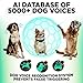 Latest 2020 Humane Bark Collar V7 PRO for Small & Medium Dogs - Most Effective Vibration Rechargeable Upgraded Chipset - Anti-Barking Collar to Stop Barking - No-Shock Waterproof - Safe Pet Control