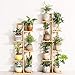 Bamboo 6 Tier 7 Potted Plant Stand Rack Multiple Flower Pot Holder Shelf Indoor Outdoor Planter Display Shelving Unit for Patio Garden Corner Balcony Living Roomthumb 4