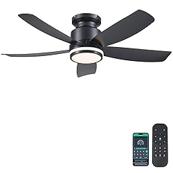 Modern Ceiling Fans with Lights and Remote/APP
