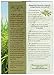 Erewhon Crispy Brown Rice Cereal, Gluten-Free, Organic, 10 Ounce 6 Pack