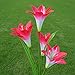 Solar Flower Light Foutou LED Lantern Decorative Outdoor Lawn Garden Lamp (4 Heads Lily(Multicolor))