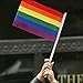 AerWo Rainbow - World Cup Outdoor Flag - 10pcs/Set Rainbow Flag 8