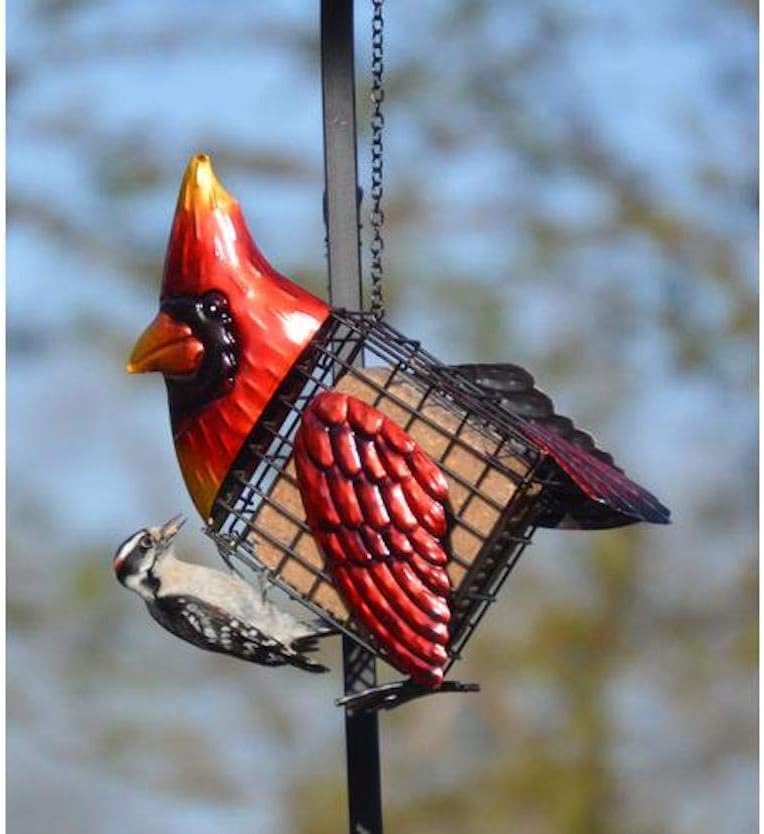 Amazon Com Gift Essentials Cardinal Suet Feeder Garden Outdoor