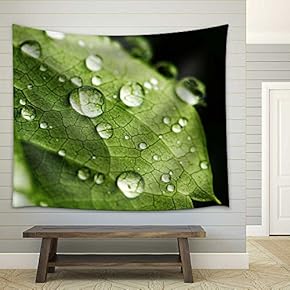Green Leaf and Water Drops Detail - Fabric Wall Tapestry Home Decor - 51x60 inches