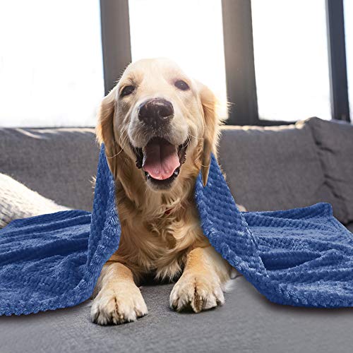 Msicyness Pet Blanket Premium Fleece Fabric Blankets Soft and Warm Dogs & Cats Throw for Couch，Furniture Chair and Bed Baby Toddler Human Suitable - Thumbnail 4