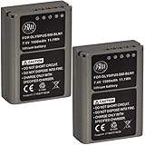 BM Premium 2-Pack Fully Decoded BLN1 Batteries for