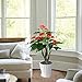 GTidea 3.3 Feet Artificial Tree Anthurium Flowers Decorative Silk Plants Home Office Arrangements Indoor Outdoor Greenery Decor