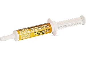 FullBucket Health Foal Probiotic Paste