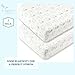 Crib Sheet Set 2 Pack - Ideal for Baby Boy or Baby Girl - 100% Jersey Knit Cotton With Lovely Prints in Gray and Mint, Perfect Toddler Gift by MyDeani