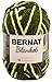 Bernat Blanket Yarn, Gathering Moss