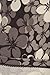 R548-OS Floral Accents Print Fashion Leggings, One Size