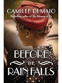 Before the Rain Falls: A Novel