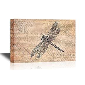 Insects Artwork Series A Dragonfly on Vintage Newspaper Background