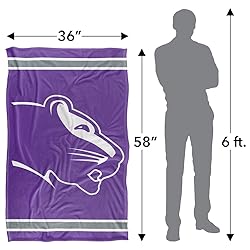 University of Sioux Falls Cougars