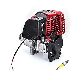 DOMINTY 49cc 4-Stroke Gas Petrol Motorized Bicycle