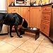 PetFusion Bamboo Elevated Dog Bowls; Cat Bowl | Raised Feeders w/Water Resistant Seal (Short 4