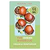 The Green Barbecue: Vegan and Vegetarian