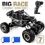 JACKEETD Monster Truck 2.4Ghz Radio Remote Control Trucks, 1/16 Scale Off Road RC car with Two Rechargeable Batteries, Racing RC Truck for All Adults and Kids - Black